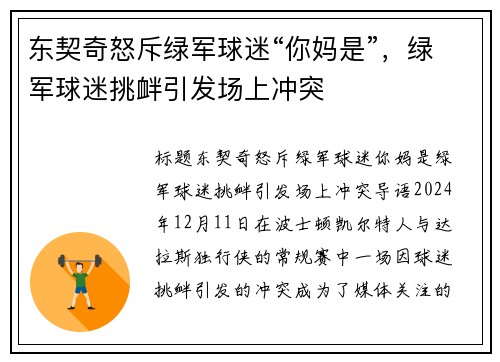 东契奇怒斥绿军球迷“你妈是”，绿军球迷挑衅引发场上冲突