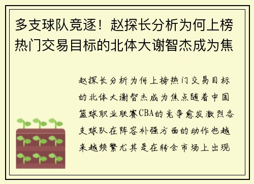 多支球队竞逐！赵探长分析为何上榜热门交易目标的北体大谢智杰成为焦点