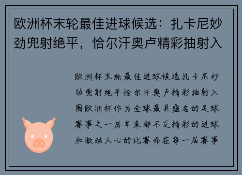 欧洲杯末轮最佳进球候选：扎卡尼妙劲兜射绝平，恰尔汗奥卢精彩抽射入围