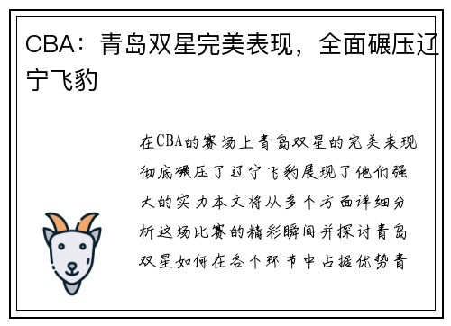 CBA：青岛双星完美表现，全面碾压辽宁飞豹
