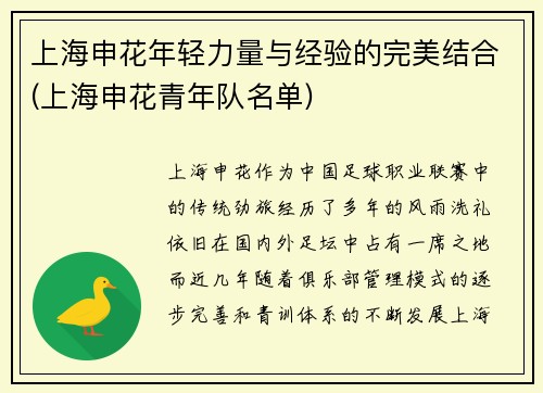 上海申花年轻力量与经验的完美结合(上海申花青年队名单)