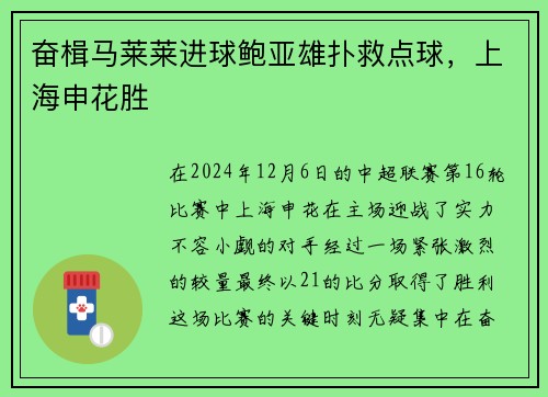 奋楫马莱莱进球鲍亚雄扑救点球，上海申花胜